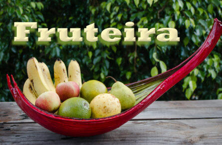 Fruteira de cacho de coquinho