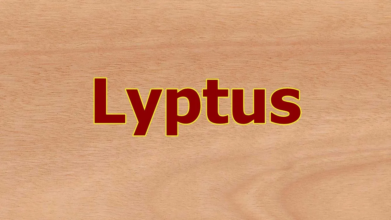 Imagem do post Lyptus a madeira nobre ecologicamente correta